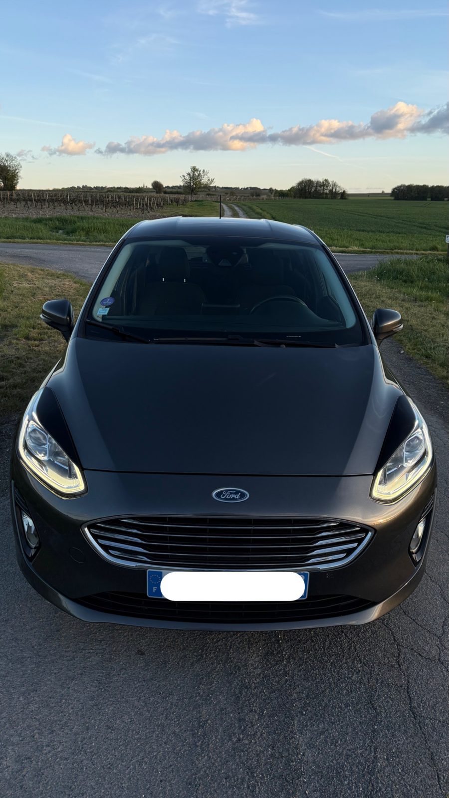 Ford fiesta