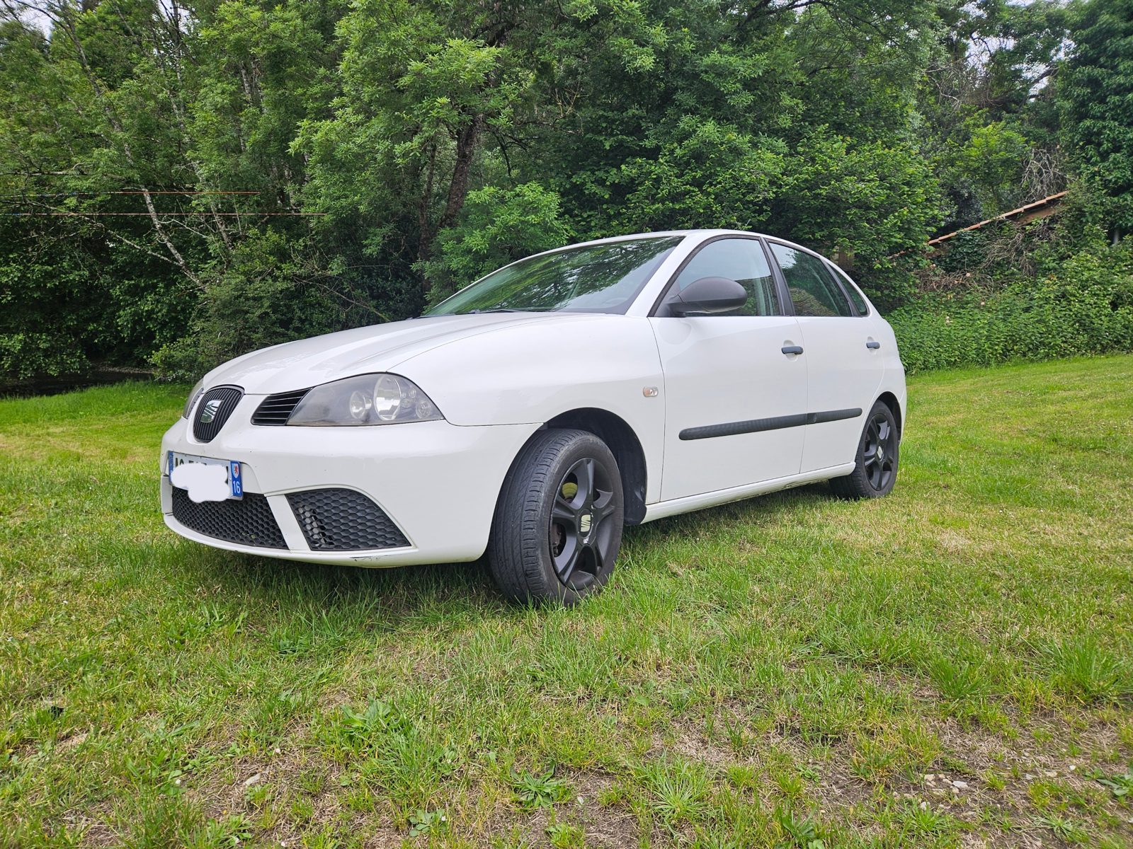 SEAT ibiza 1,4 tdi